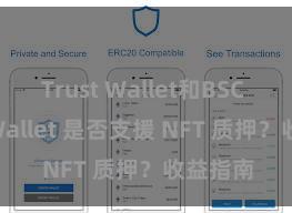 Trust Wallet和BSC Trust Wallet 是否支援 NFT 质押？收益指南